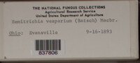 Image Associated With the Occurence